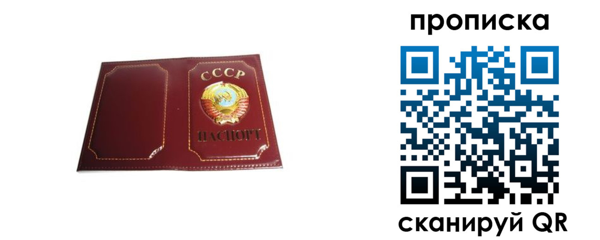 прописка гарантия в Находке